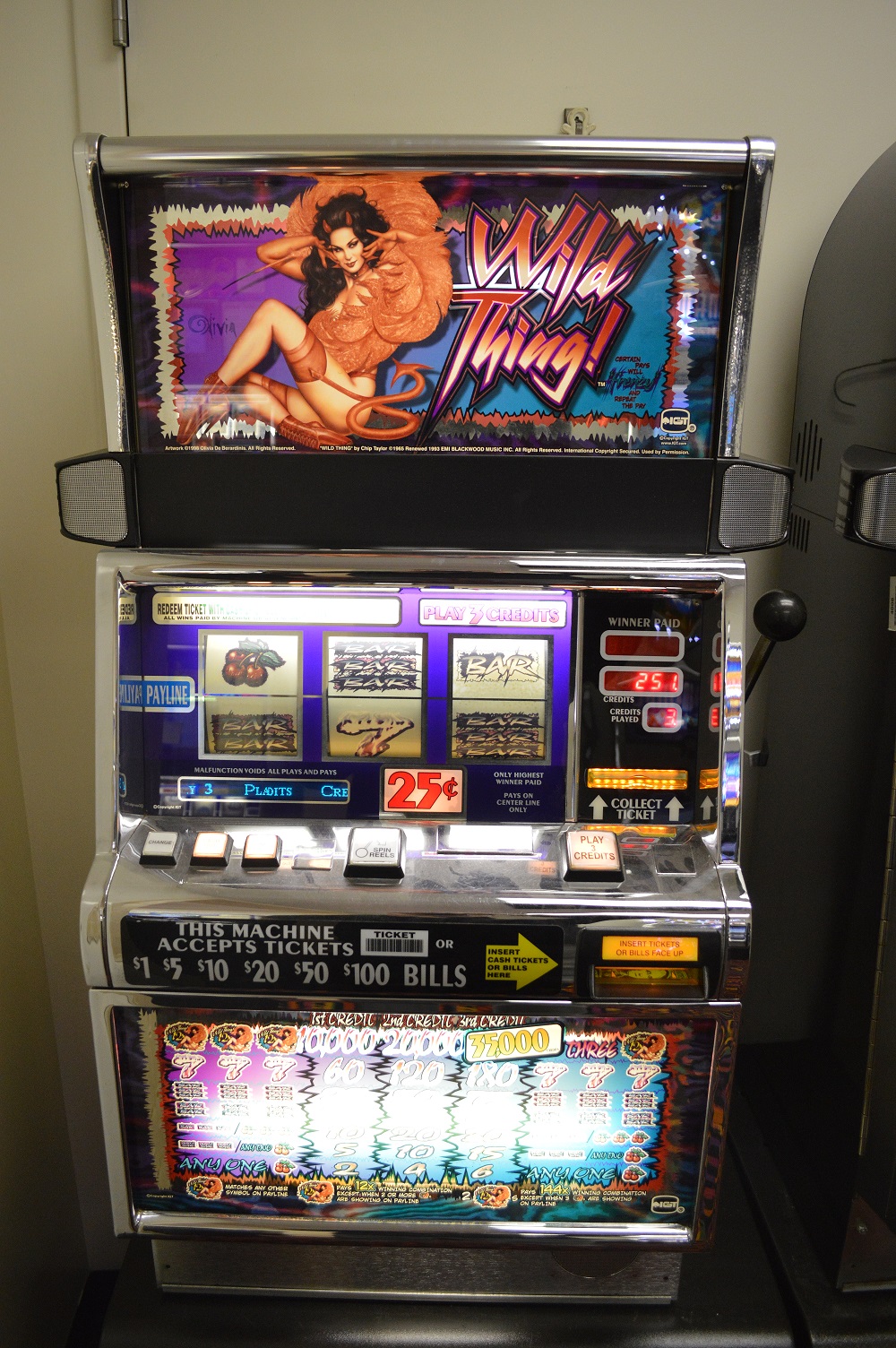 Wild Patagonia Slot Machine